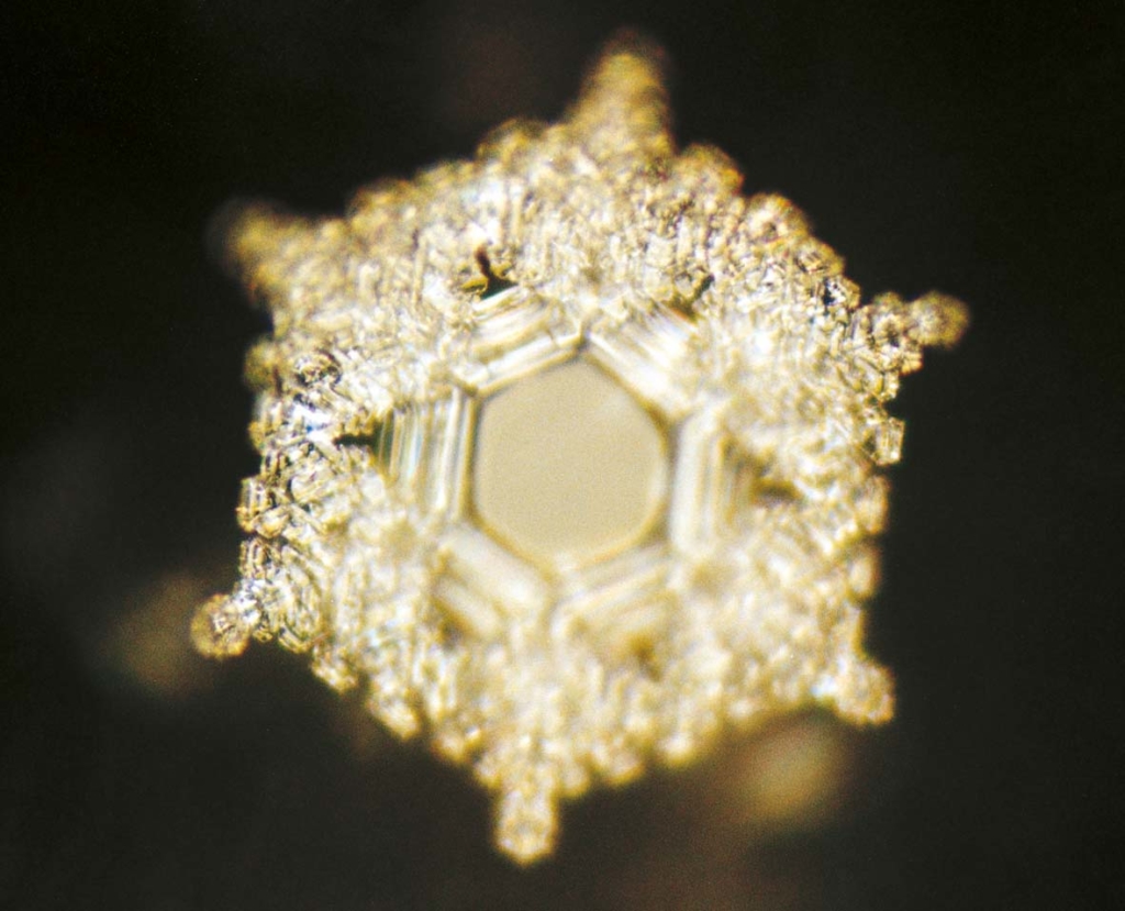Dr. Masaru Emoto "Liebe und Danke" Wasserkristall