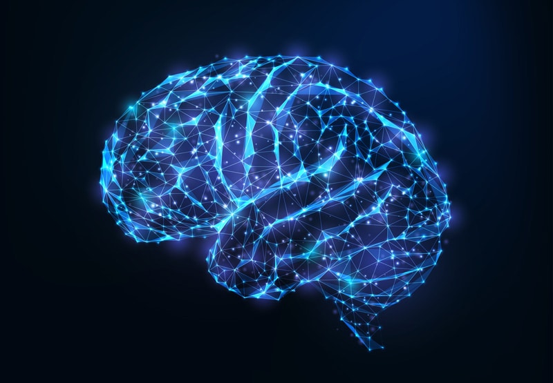 Das Gehirn als Quantencomputer